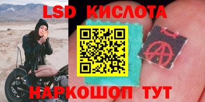 дмт Гагарин