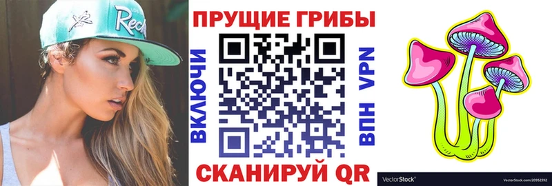 где купить   Знаменск  Галлюциногенные грибы прущие грибы 